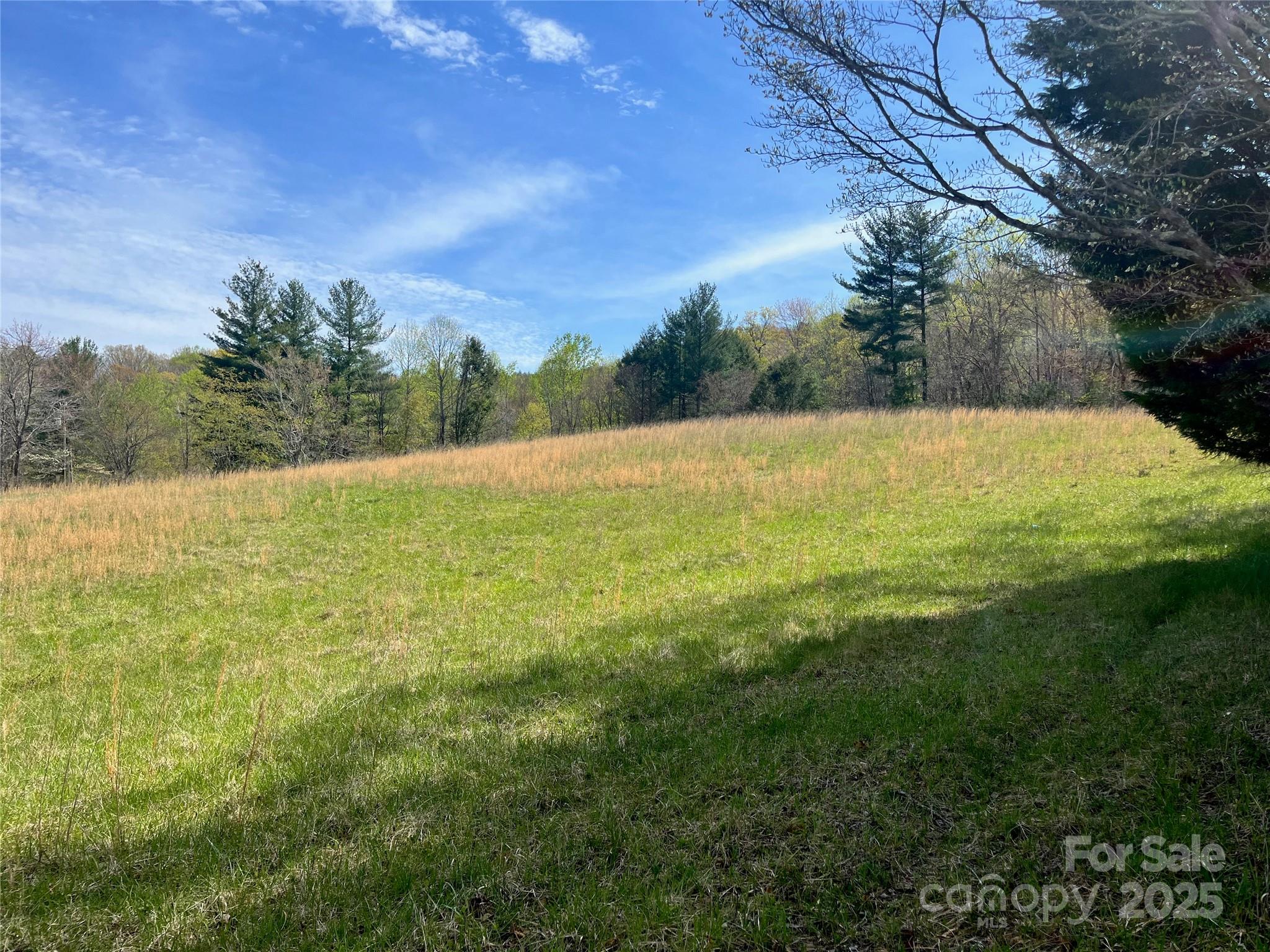 99999 Lollis Road Candler NC 28715