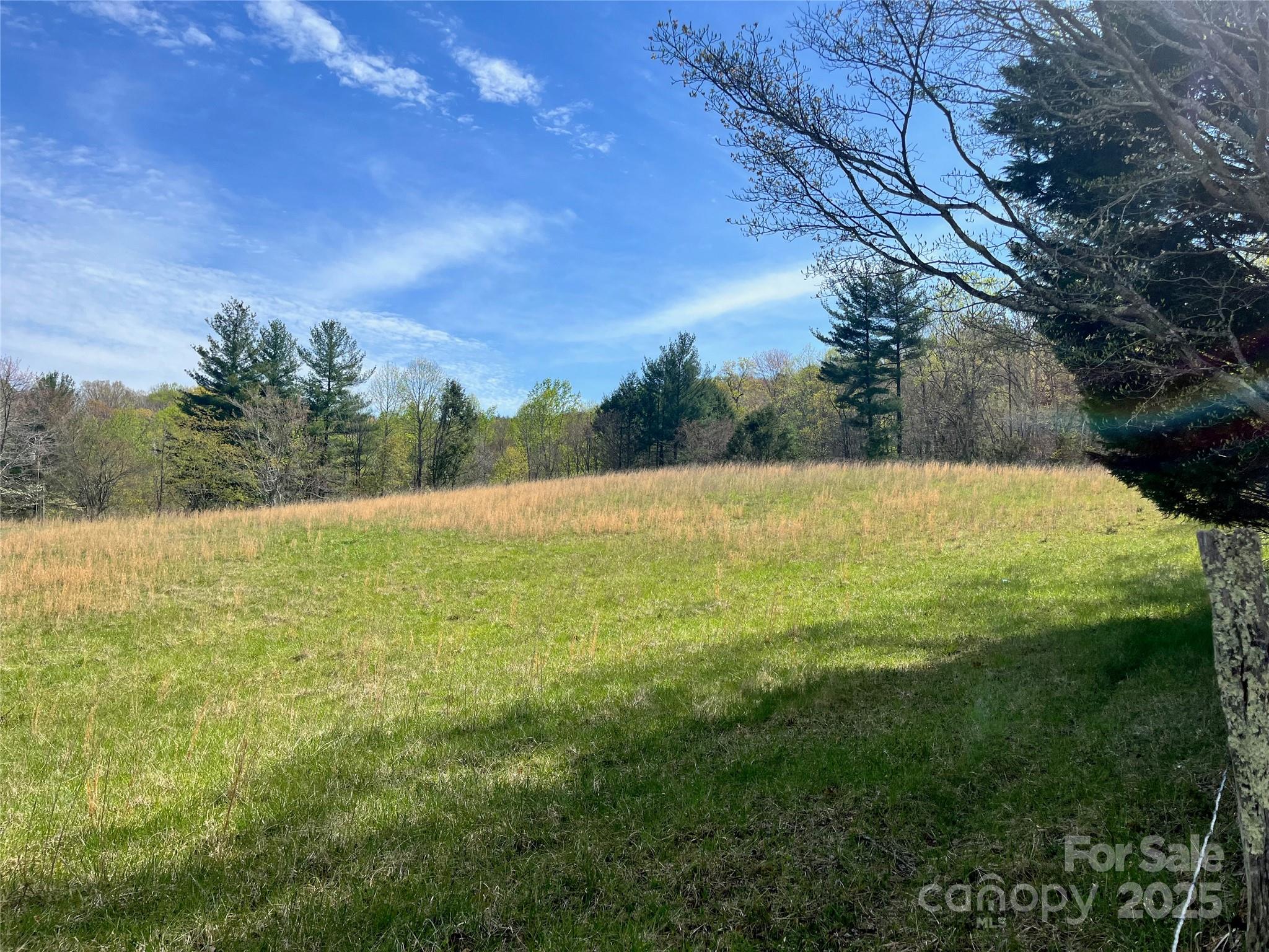 99999 Lollis Road Candler NC 28715