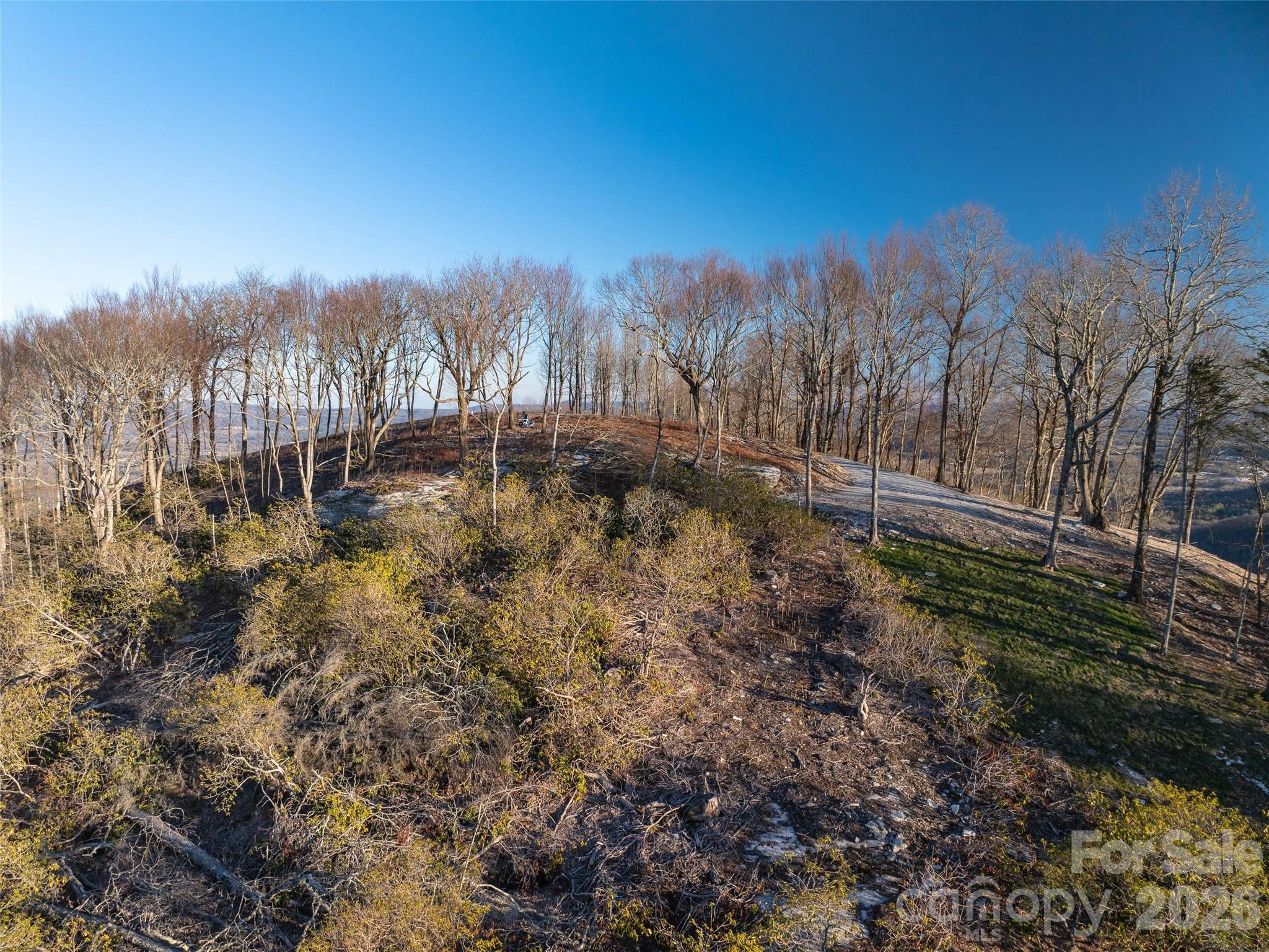 63 Summit Trail Drive Hendersonville NC 28792