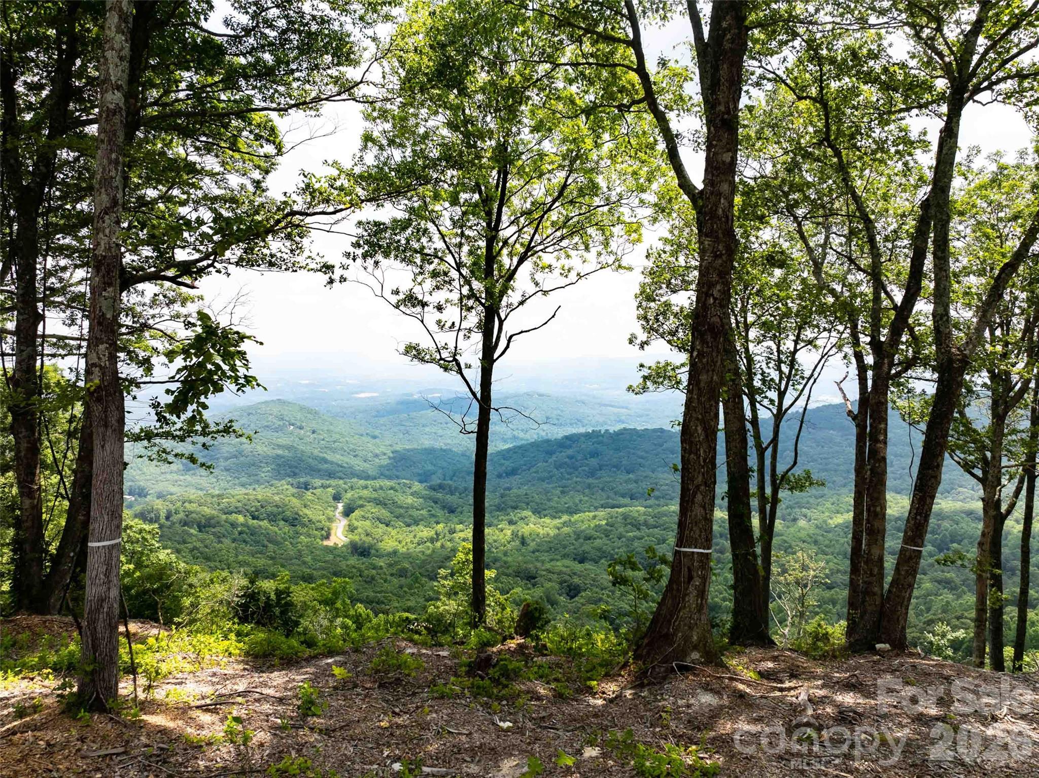 63 Summit Trail Drive Hendersonville NC 28792