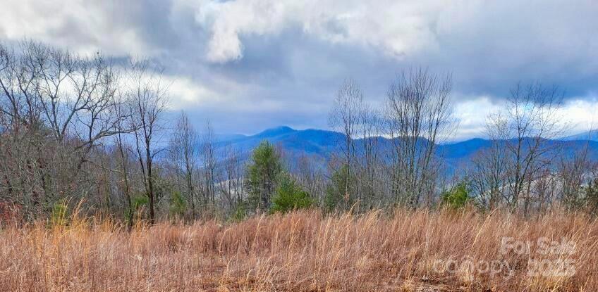 255 Clearview Lane Marshall NC 28753
