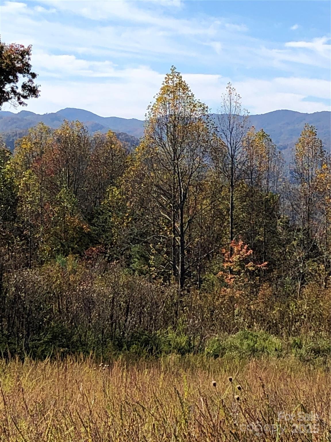 255 Clearview Lane Marshall NC 28753
