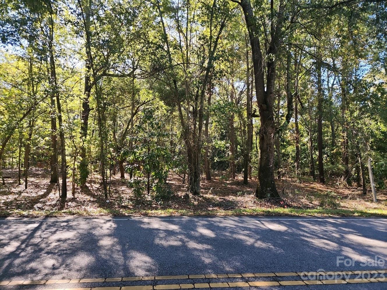 Tbd E Watford Street Pageland SC 29728