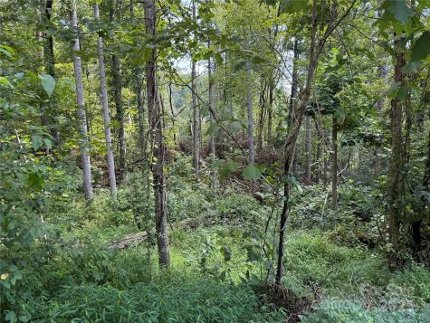 256 Burge Mountain Road Hendersonville NC 28792