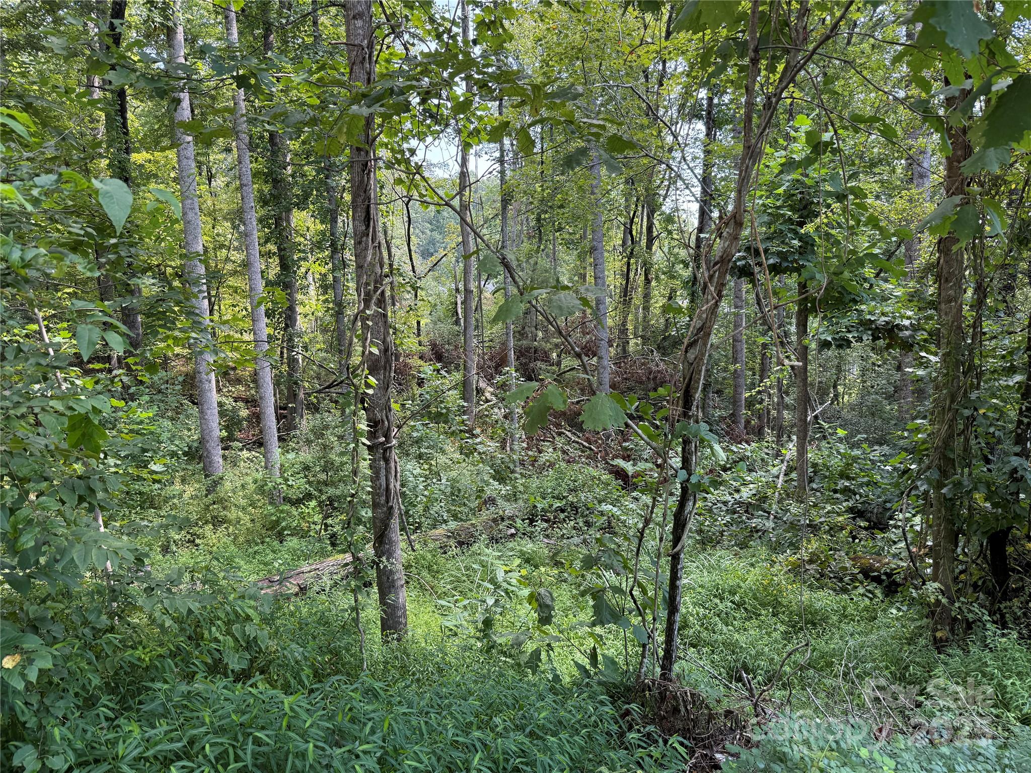 256 Burge Mountain Road Hendersonville NC 28792