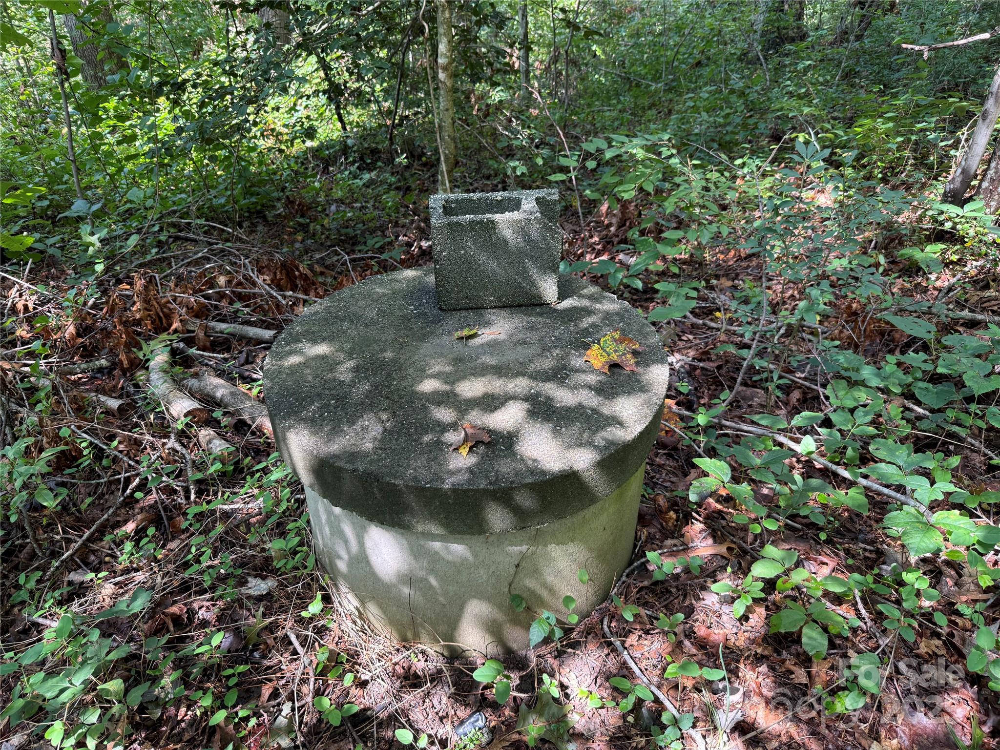 256 Burge Mountain Road Hendersonville NC 28792