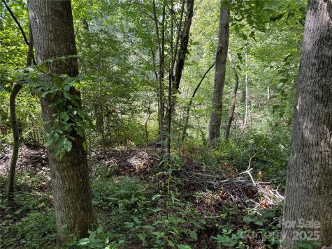 256 Burge Mountain Road Hendersonville NC 28792