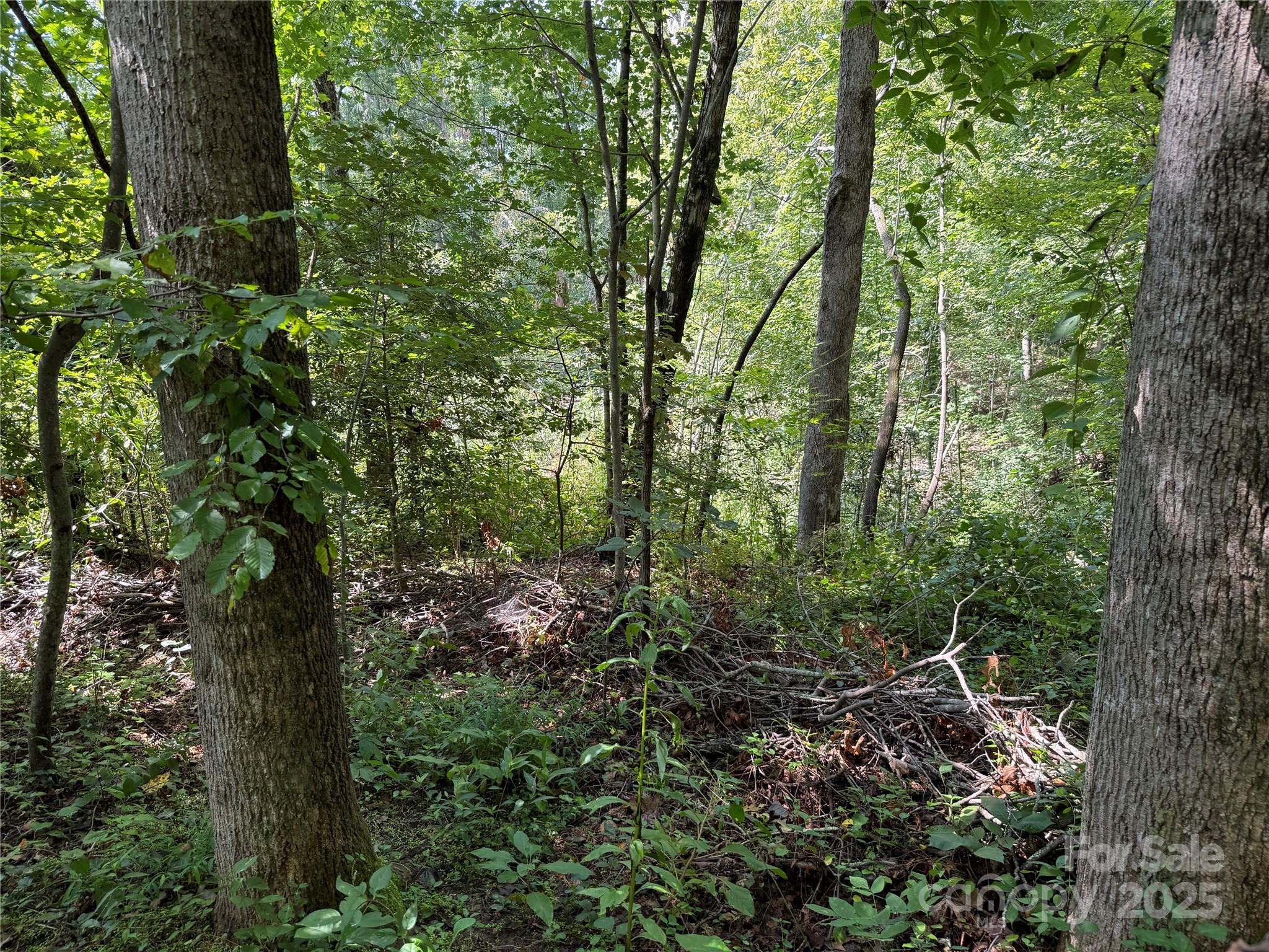 256 Burge Mountain Road Hendersonville NC 28792