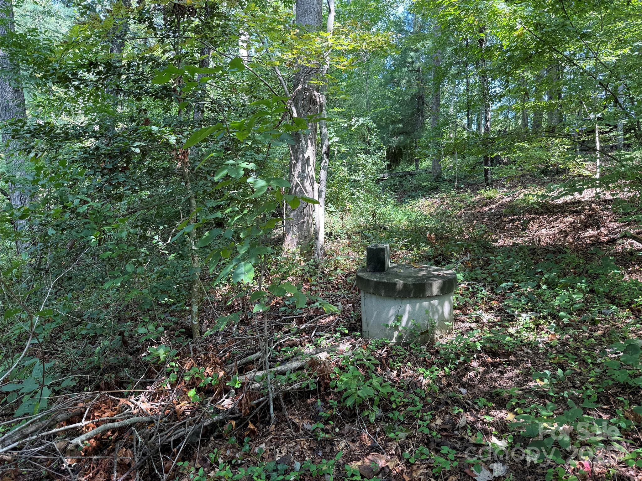 256 Burge Mountain Road Hendersonville NC 28792