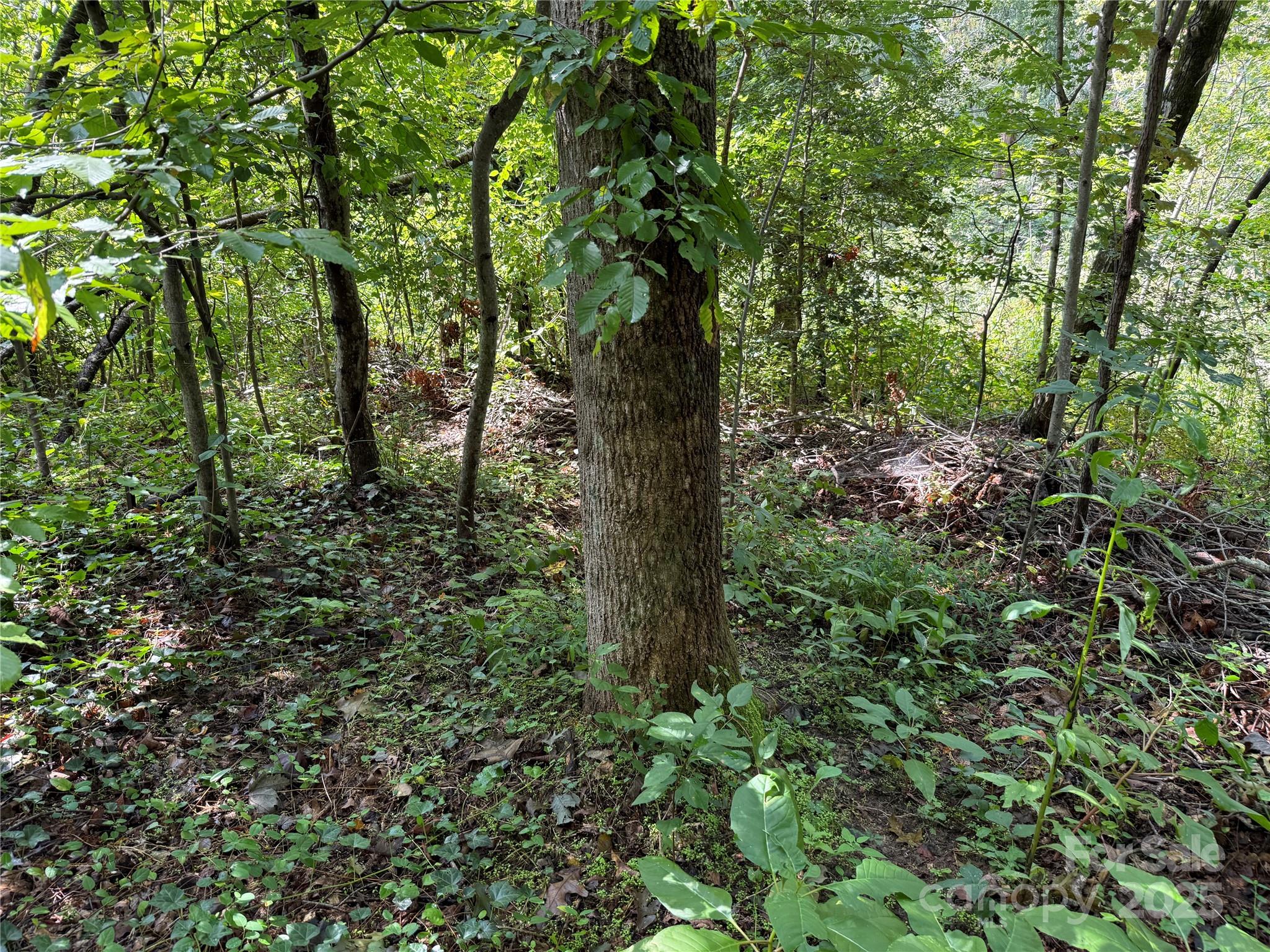 256 Burge Mountain Road Hendersonville NC 28792
