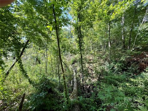 256 Burge Mountain Road Hendersonville NC 28792