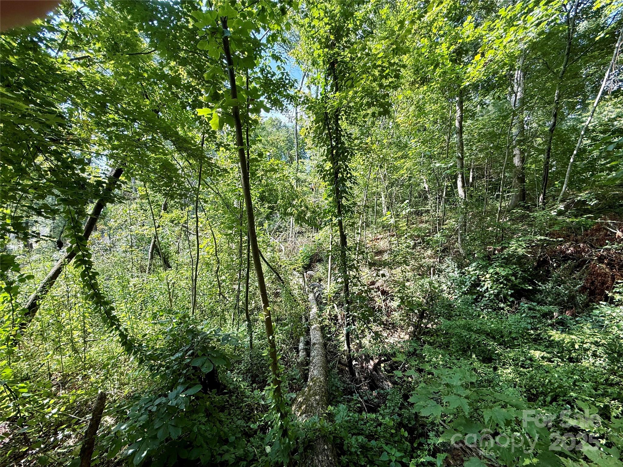 256 Burge Mountain Road Hendersonville NC 28792