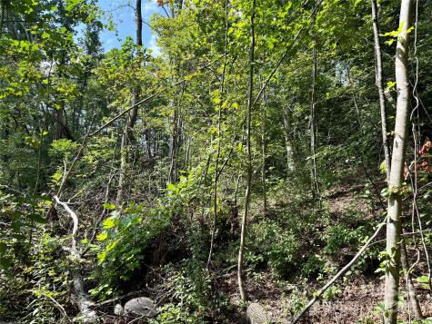 256 Burge Mountain Road Hendersonville NC 28792