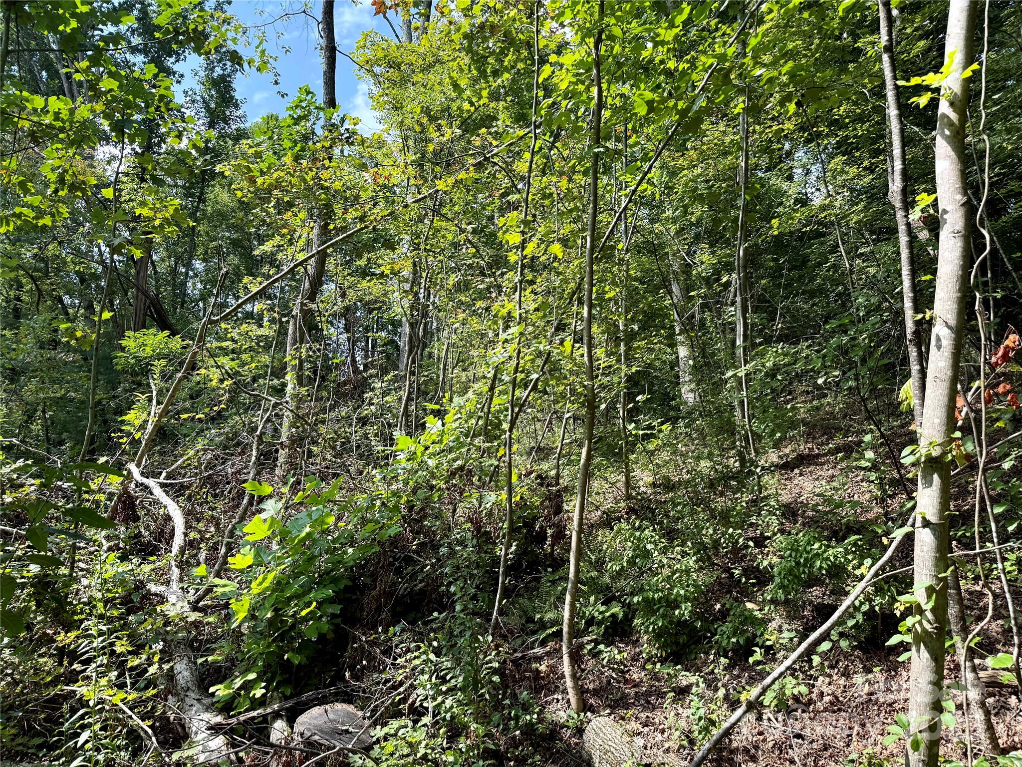 256 Burge Mountain Road Hendersonville NC 28792