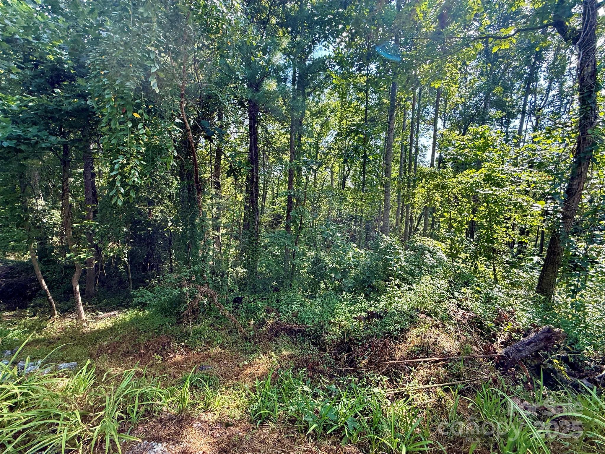 256 Burge Mountain Road Hendersonville NC 28792