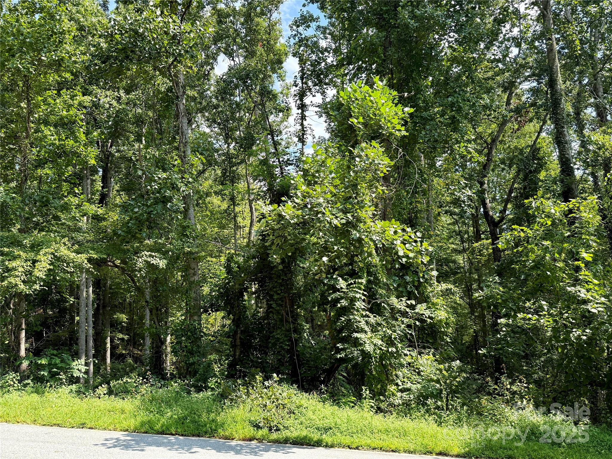 256 Burge Mountain Road Hendersonville NC 28792