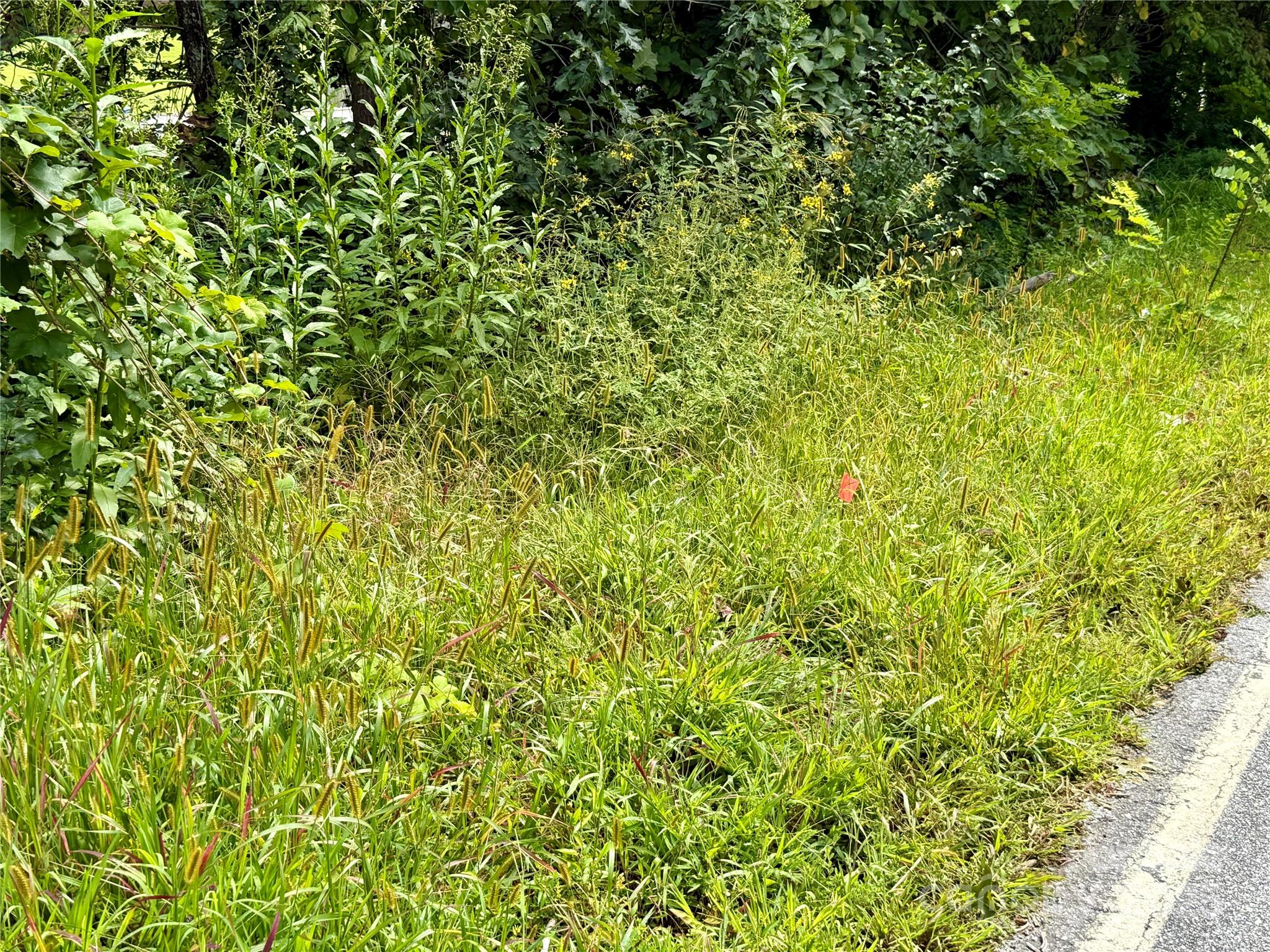256 Burge Mountain Road Hendersonville NC 28792