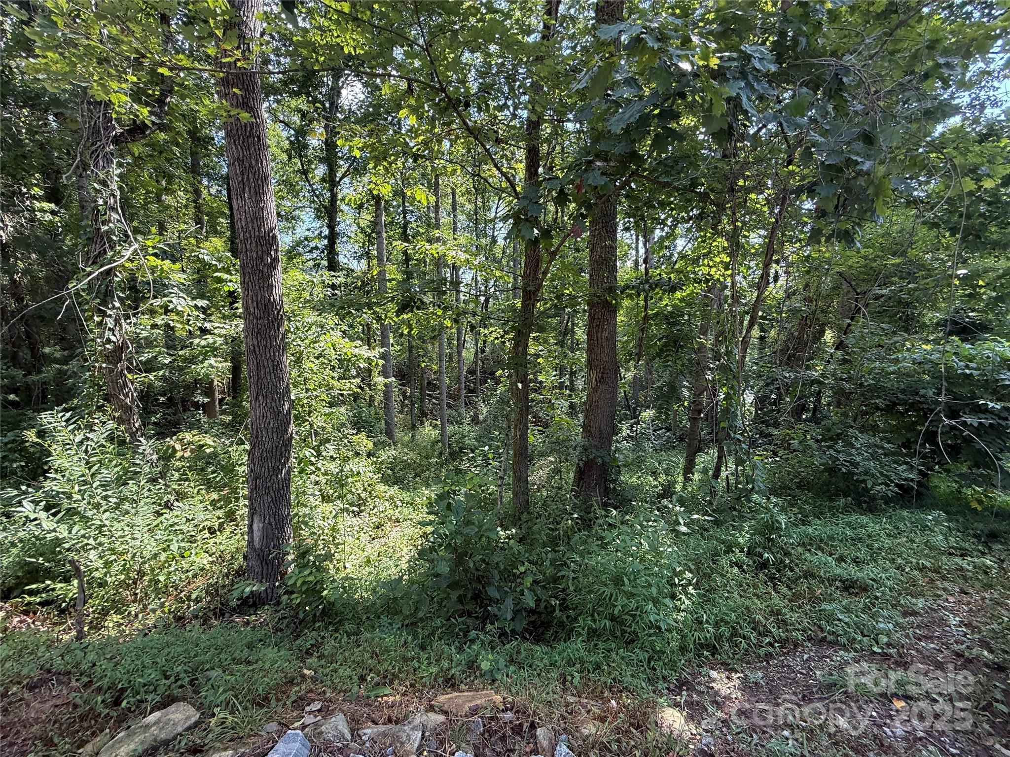 256 Burge Mountain Road Hendersonville NC 28792