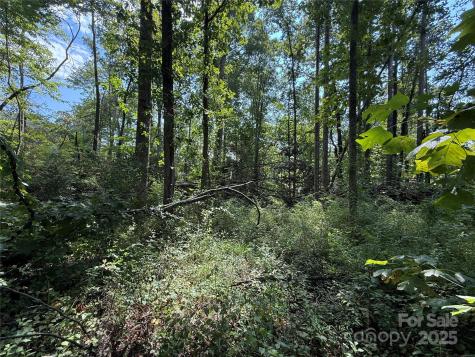 256 Burge Mountain Road Hendersonville NC 28792