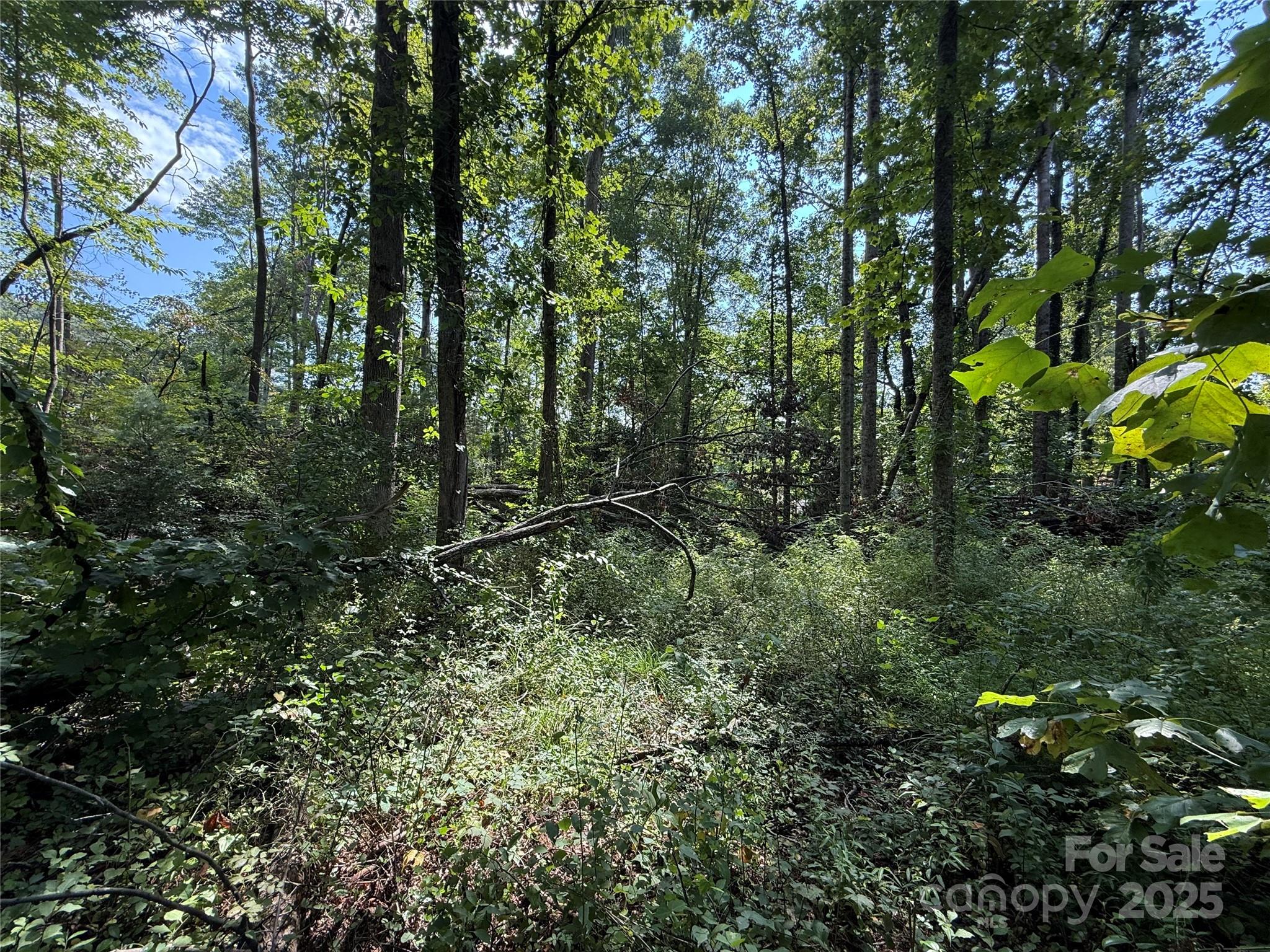 256 Burge Mountain Road Hendersonville NC 28792