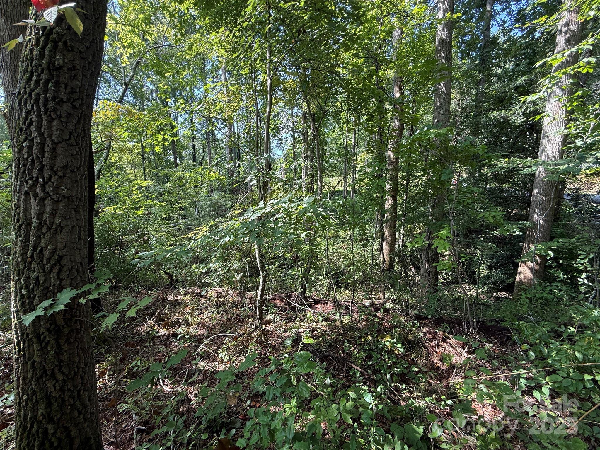 256 Burge Mountain Road Hendersonville NC 28792