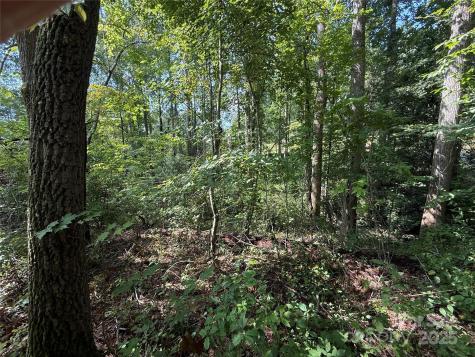 256 Burge Mountain Road Hendersonville NC 28792