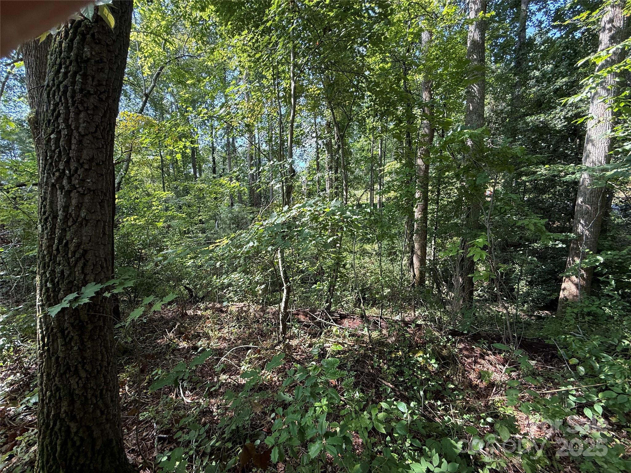 256 Burge Mountain Road Hendersonville NC 28792