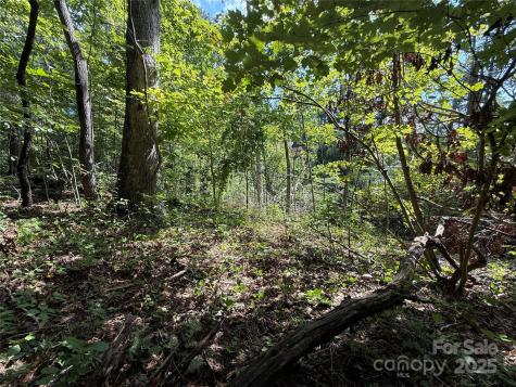 256 Burge Mountain Road Hendersonville NC 28792