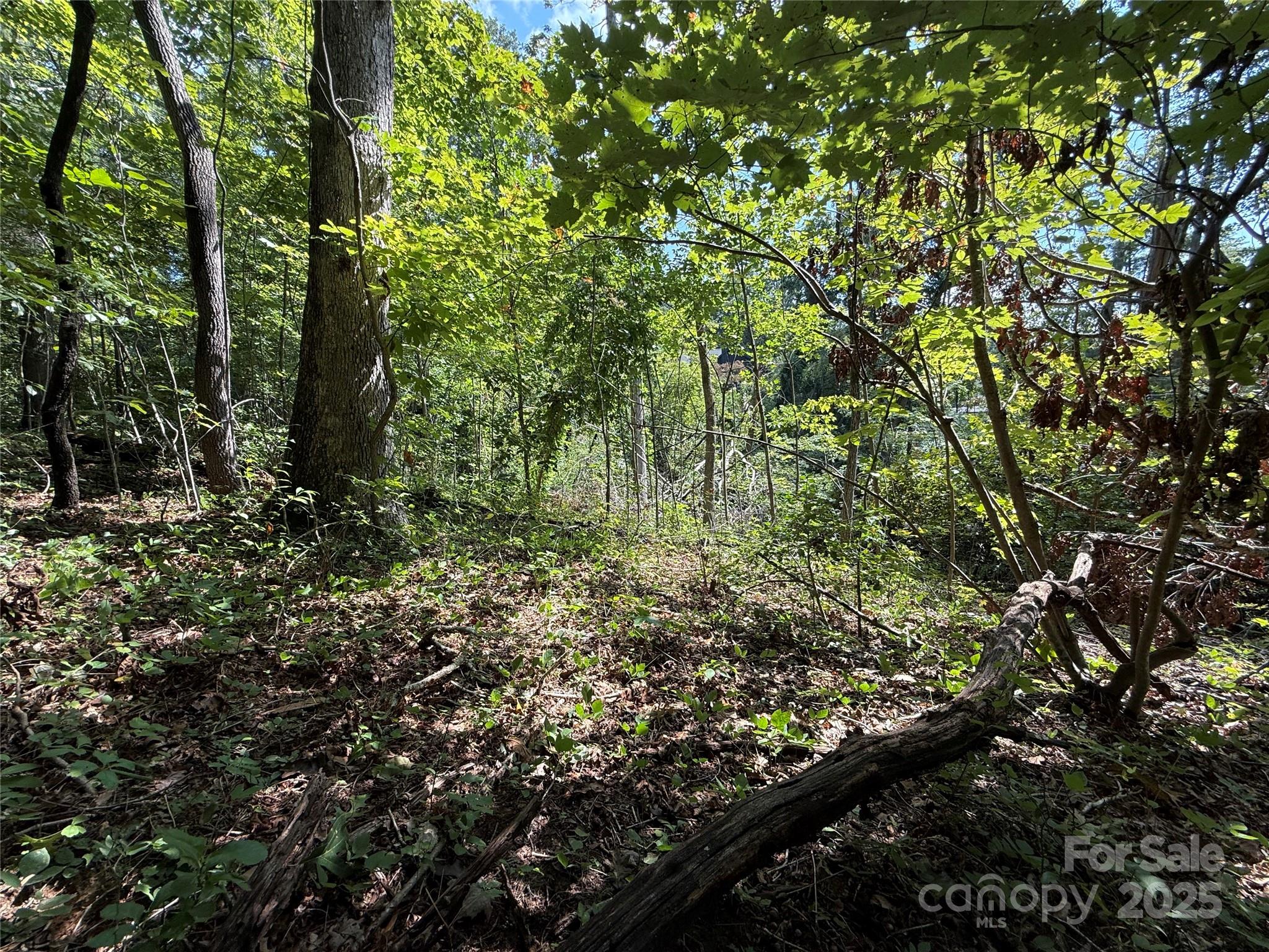 256 Burge Mountain Road Hendersonville NC 28792