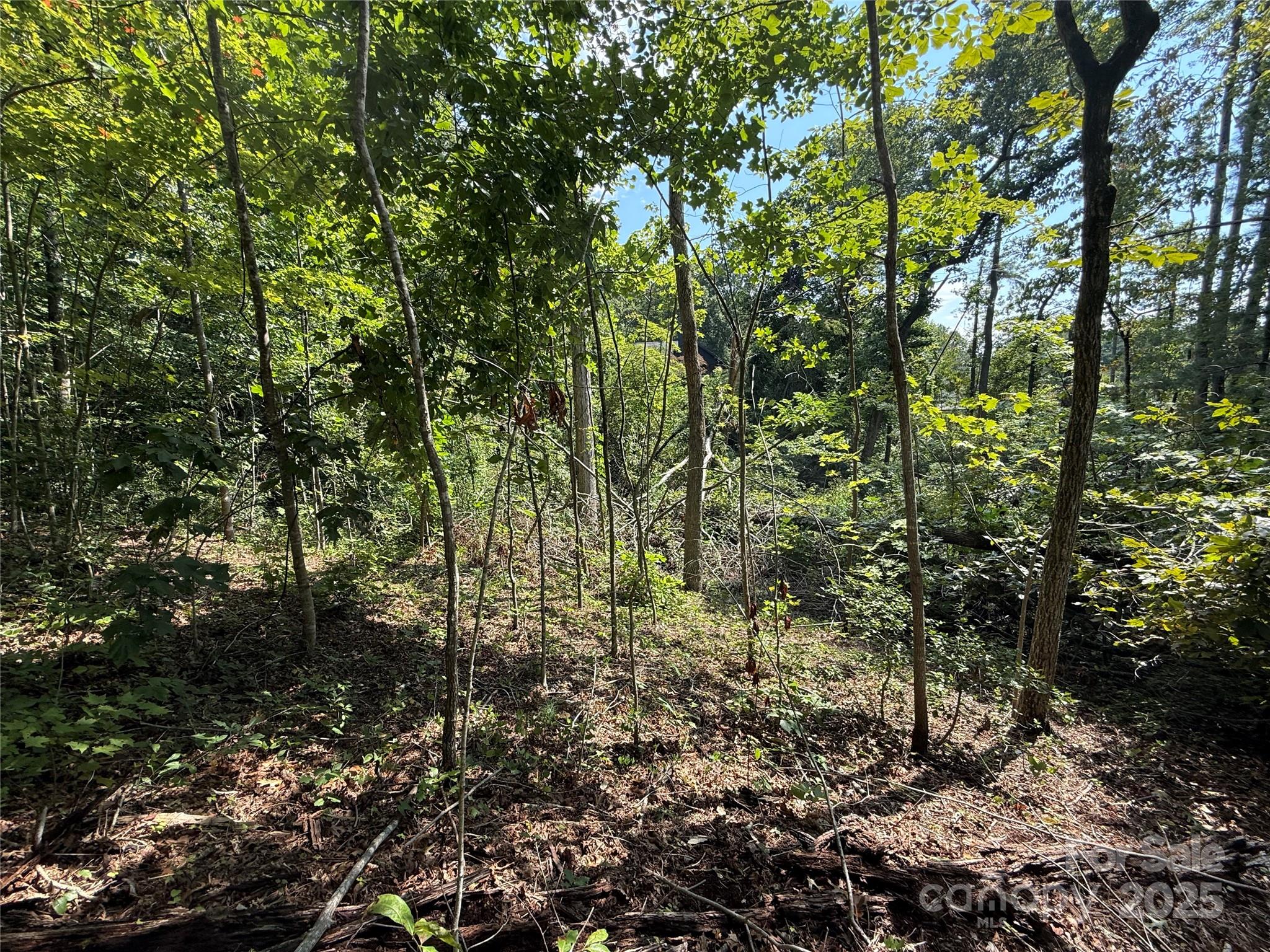 256 Burge Mountain Road Hendersonville NC 28792