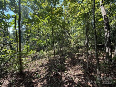 256 Burge Mountain Road Hendersonville NC 28792