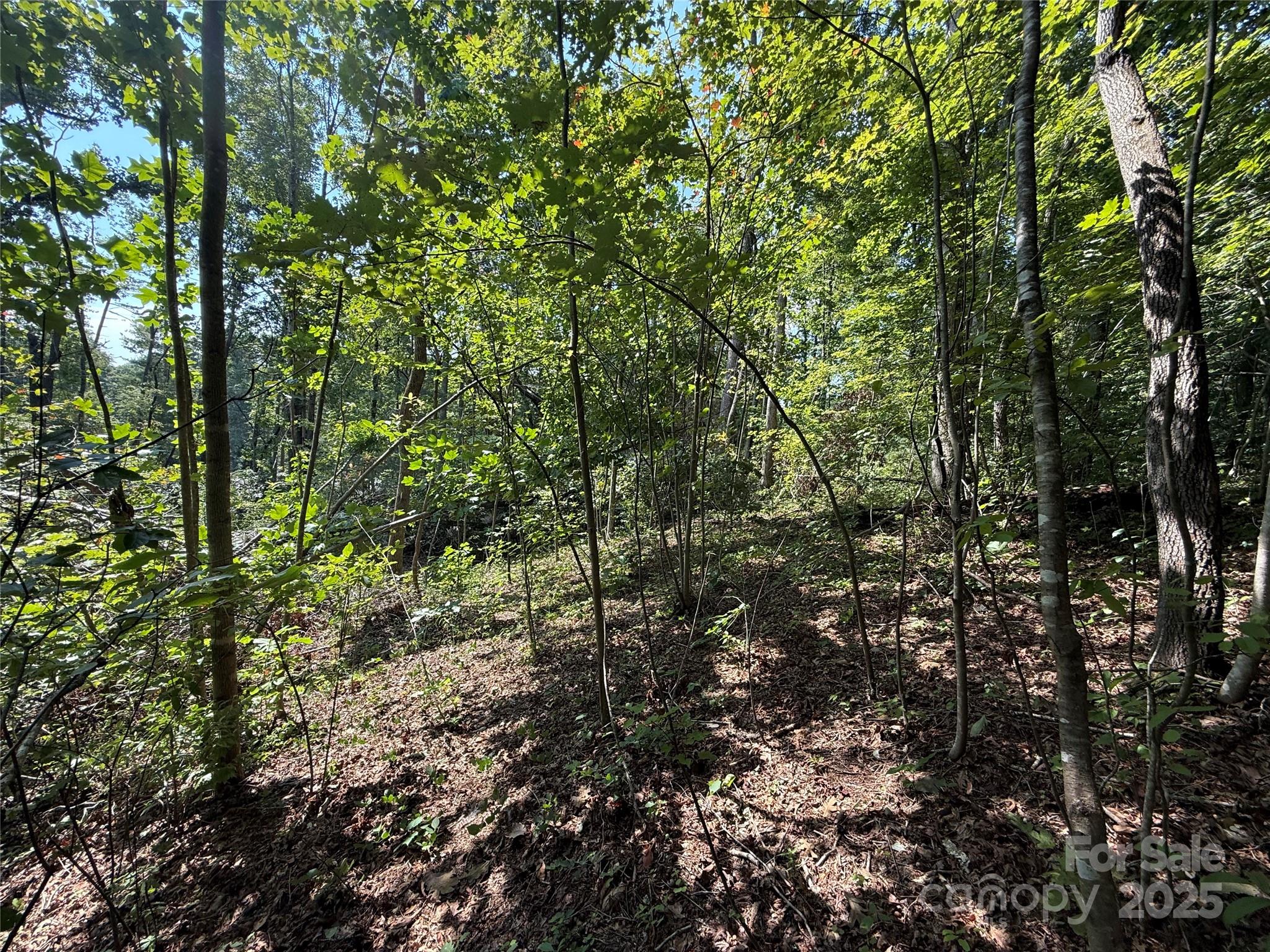 256 Burge Mountain Road Hendersonville NC 28792