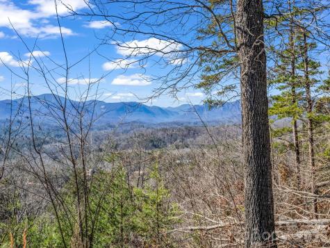 0 Bills Mountain Trail Lake Lure NC 28746