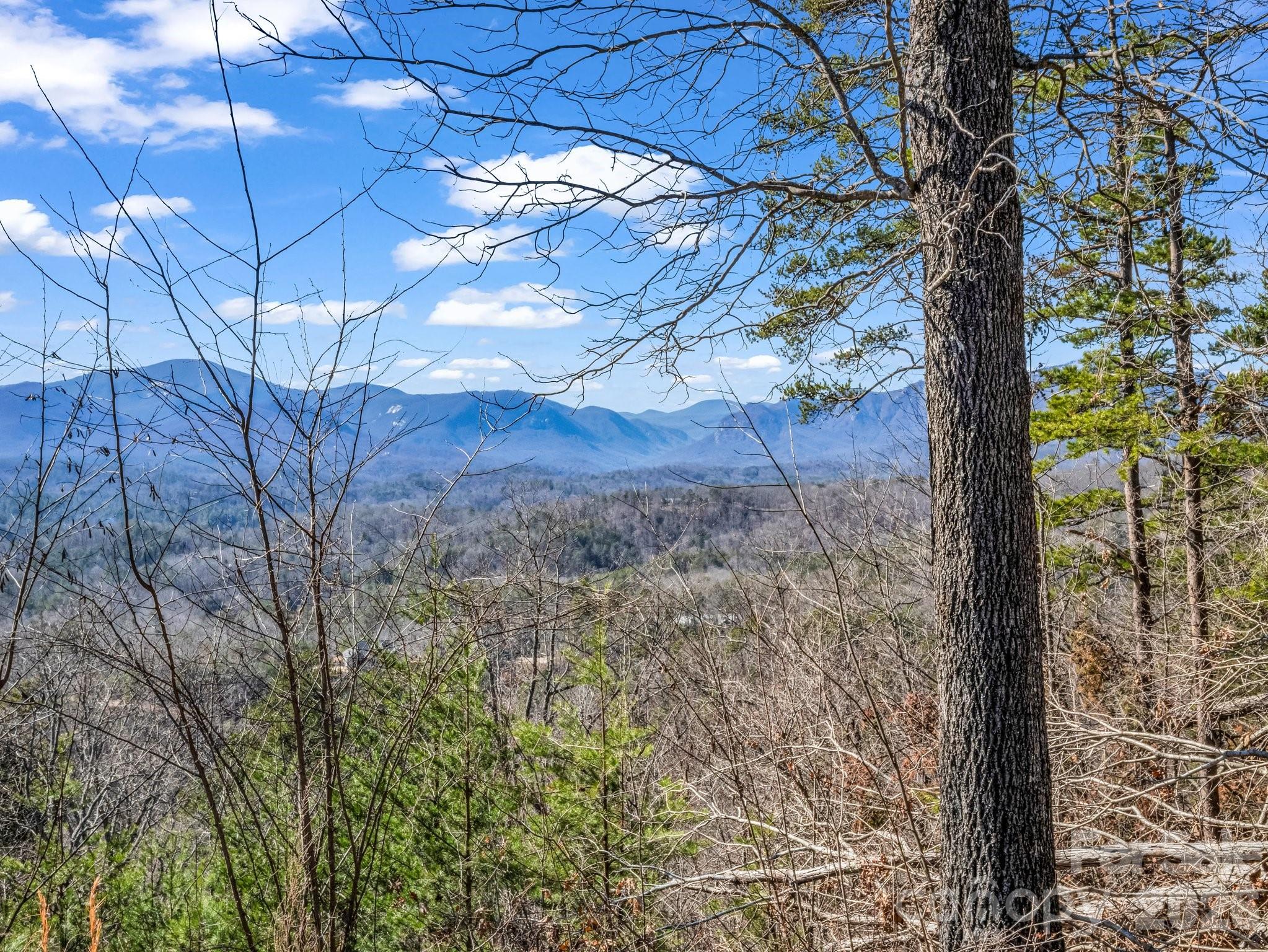 0 Bills Mountain Trail Lake Lure NC 28746