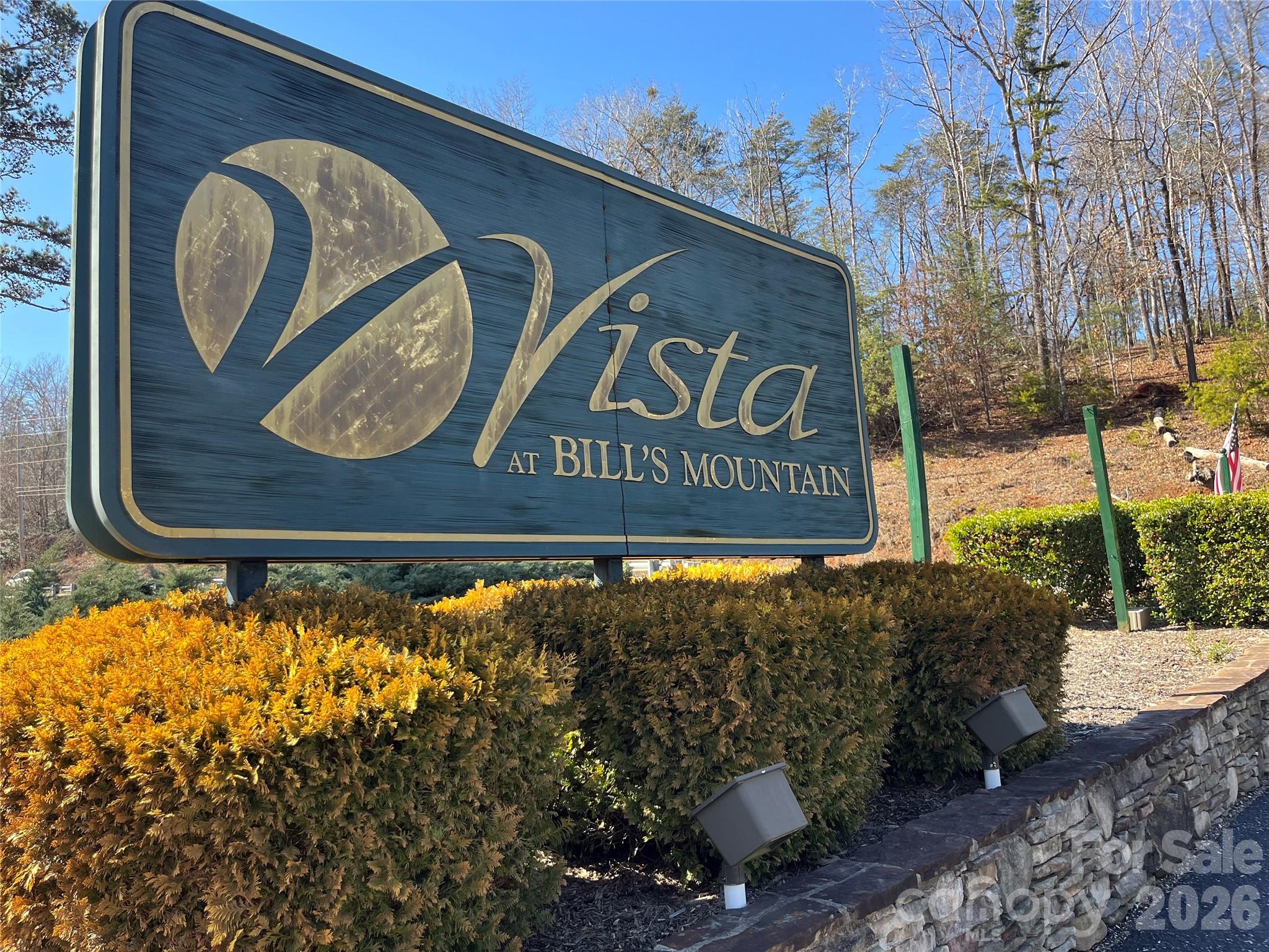 0 Bills Mountain Trail Lake Lure NC 28746