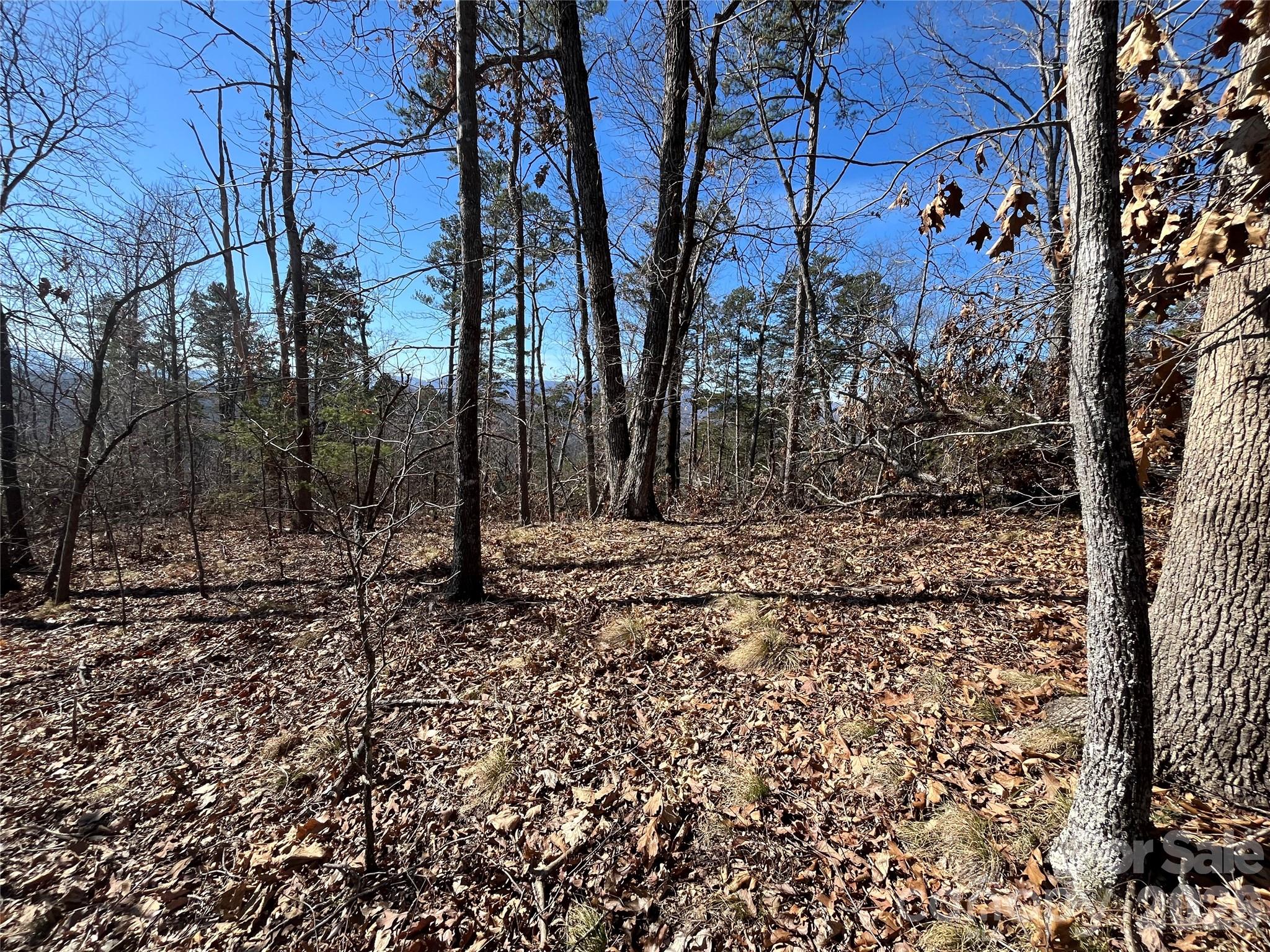 0 Bills Mountain Trail Lake Lure NC 28746