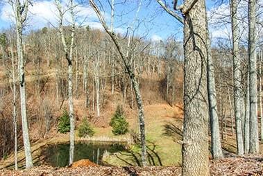 0 Bills Mountain Trail Lake Lure NC 28746