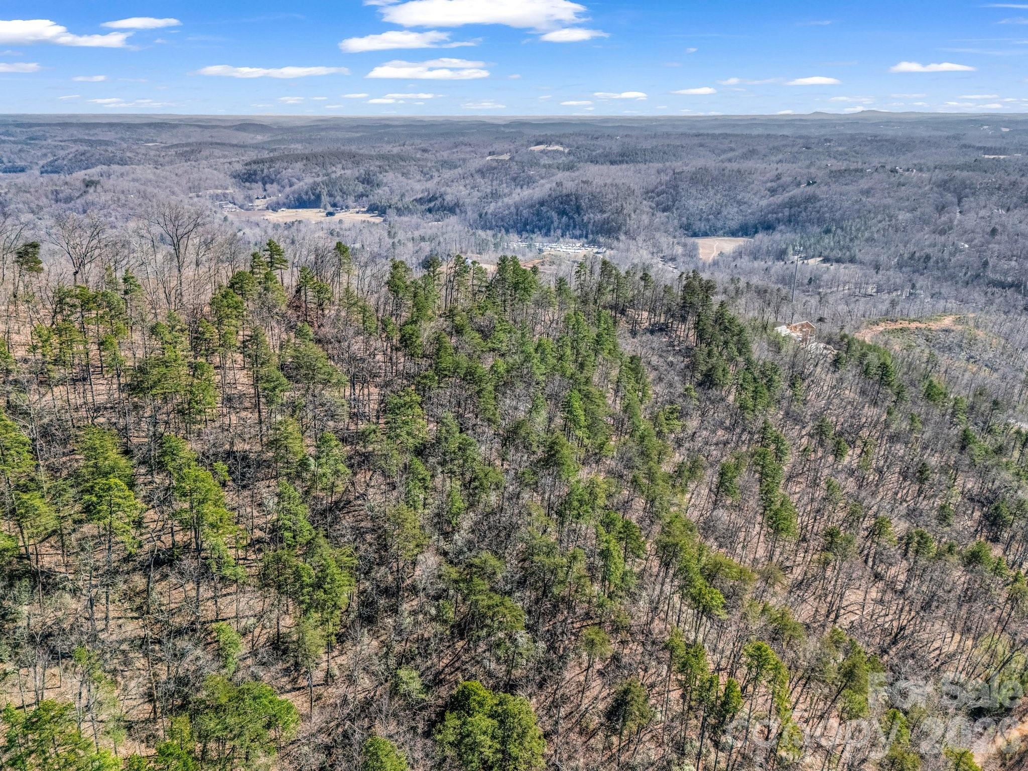 0 Bills Mountain Trail Lake Lure NC 28746