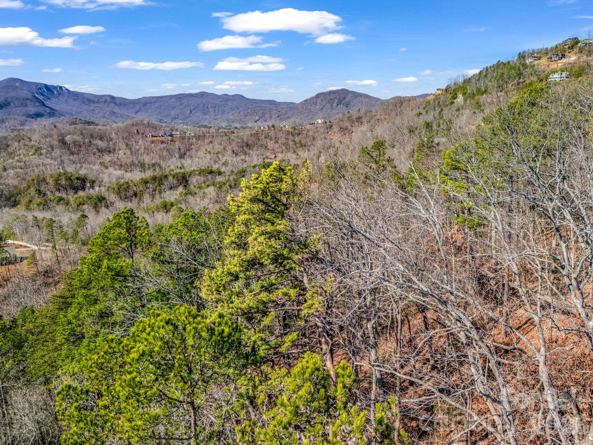 0 Bills Mountain Trail Lake Lure NC 28746