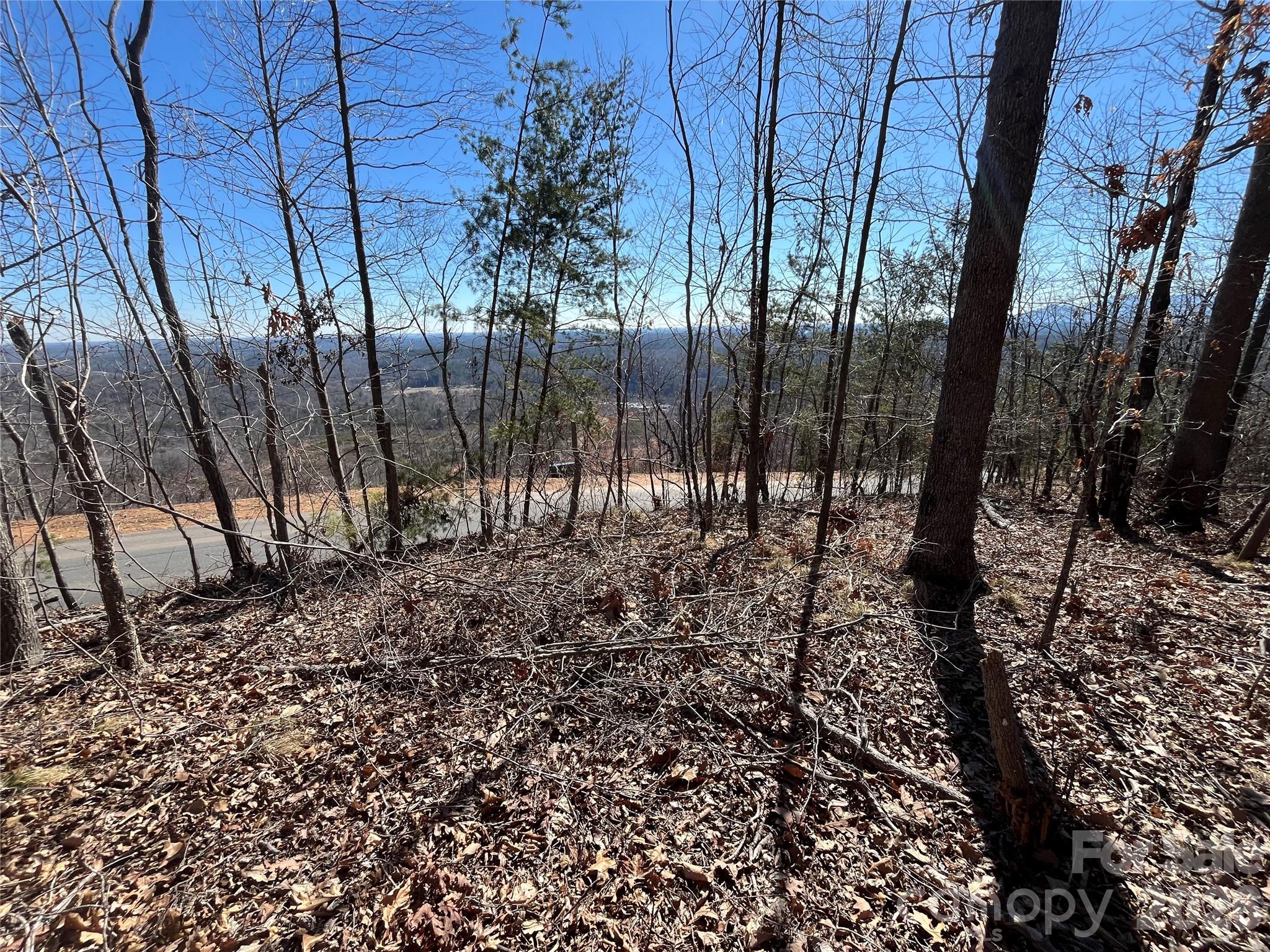 0 Bills Mountain Trail Lake Lure NC 28746