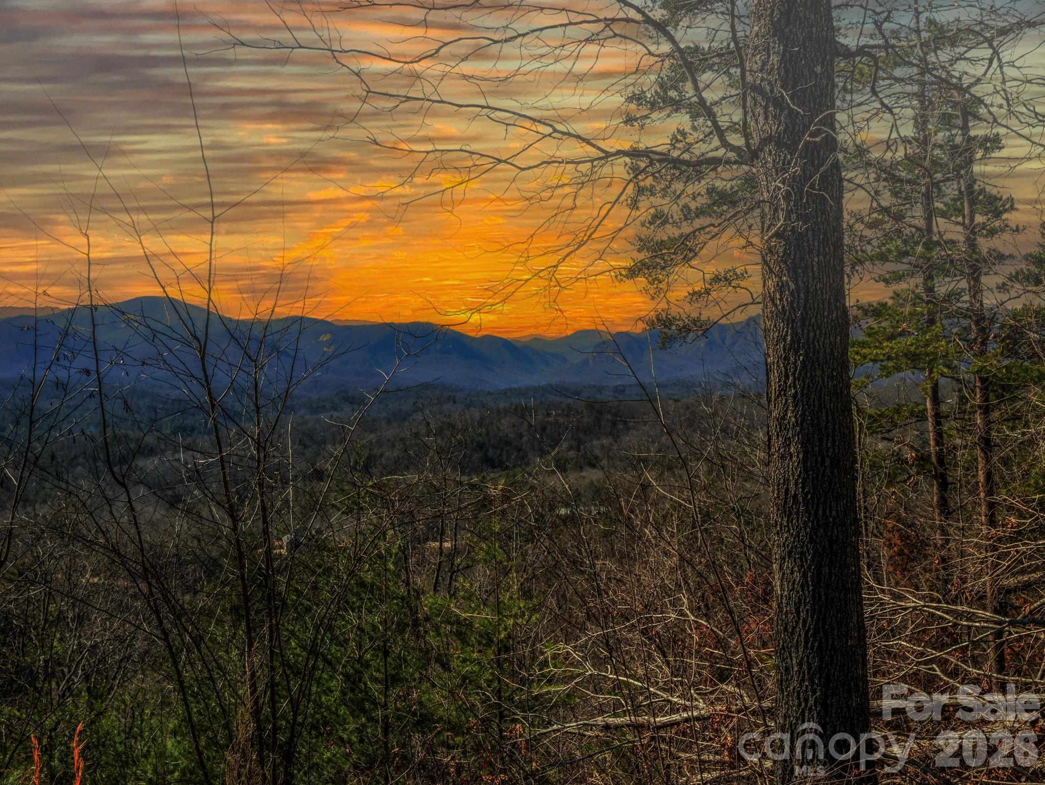 0 Bills Mountain Trail Lake Lure NC 28746