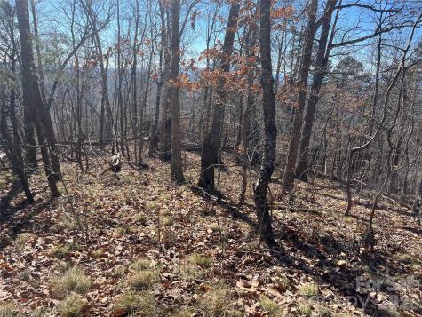 0 Bills Mountain Trail Lake Lure NC 28746