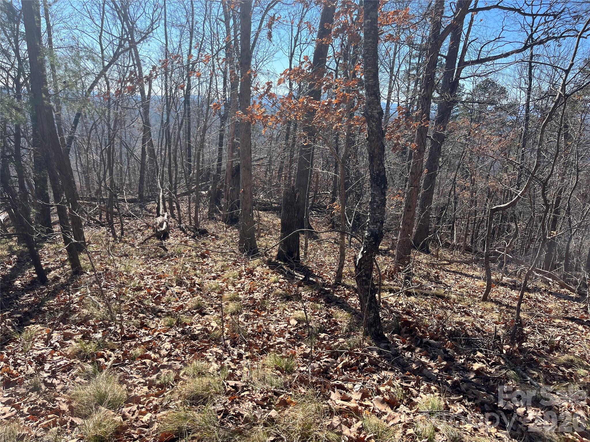 0 Bills Mountain Trail Lake Lure NC 28746