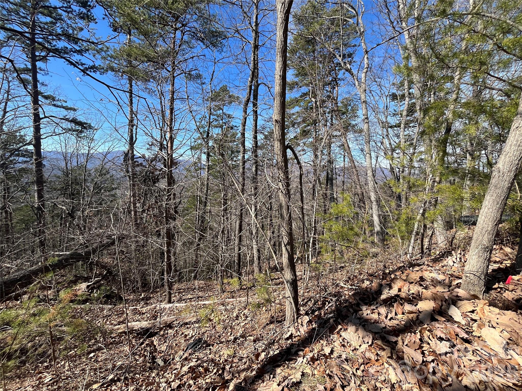 0 Bills Mountain Trail Lake Lure NC 28746