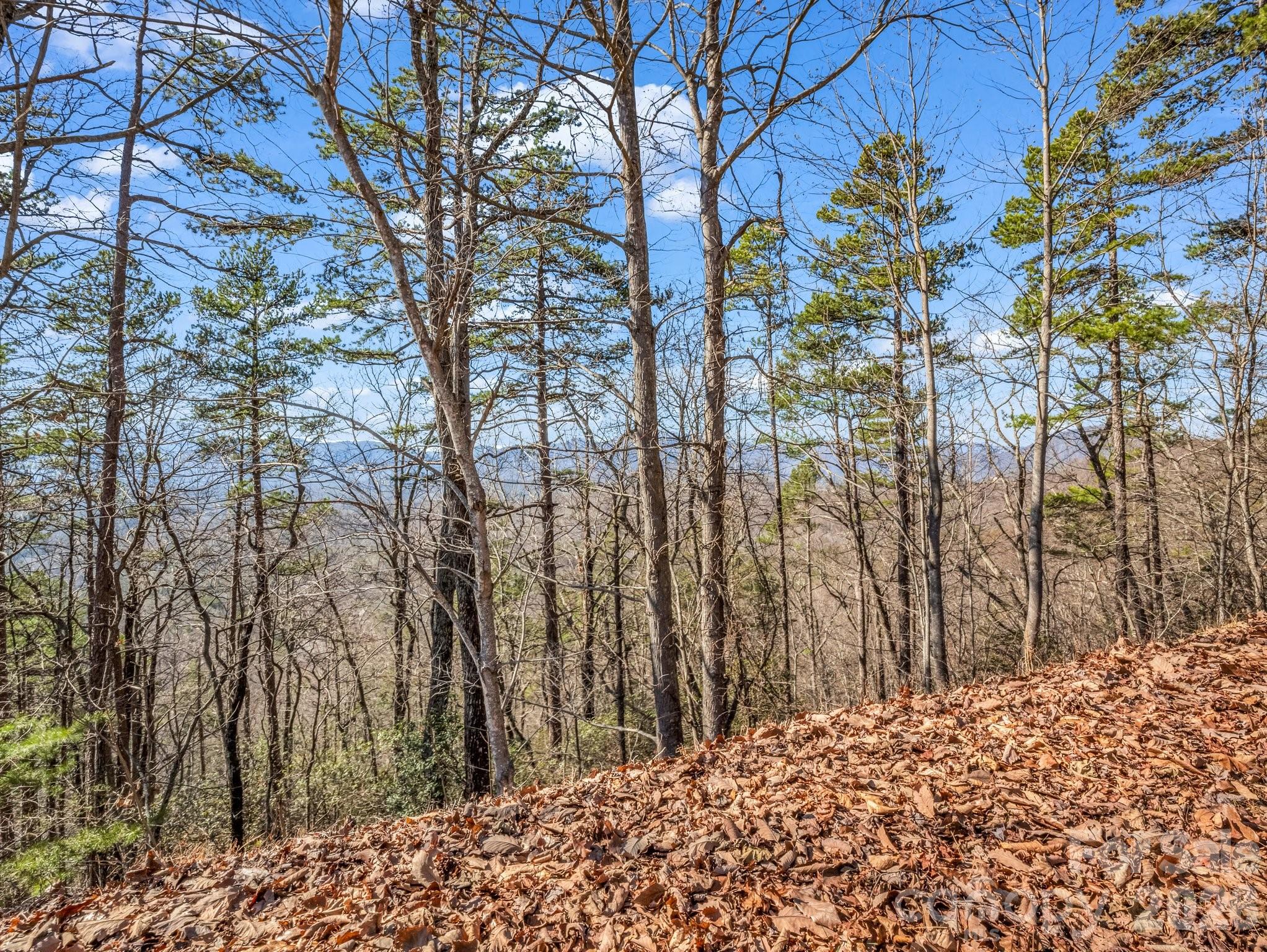 0 Bills Mountain Trail Lake Lure NC 28746