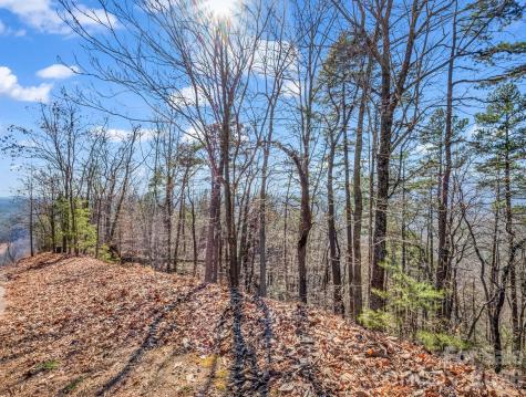 0 Bills Mountain Trail Lake Lure NC 28746