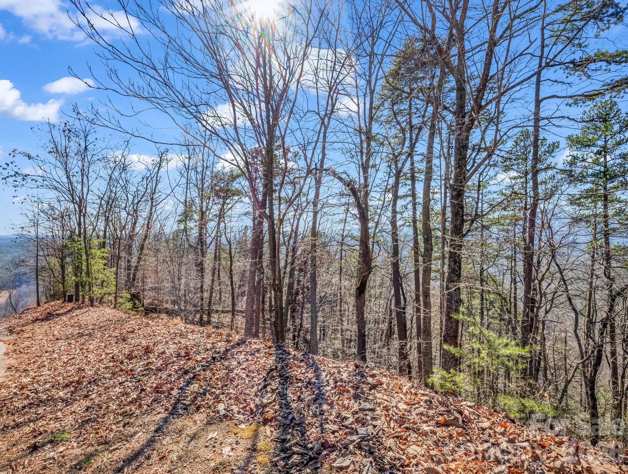 0 Bills Mountain Trail Lake Lure NC 28746