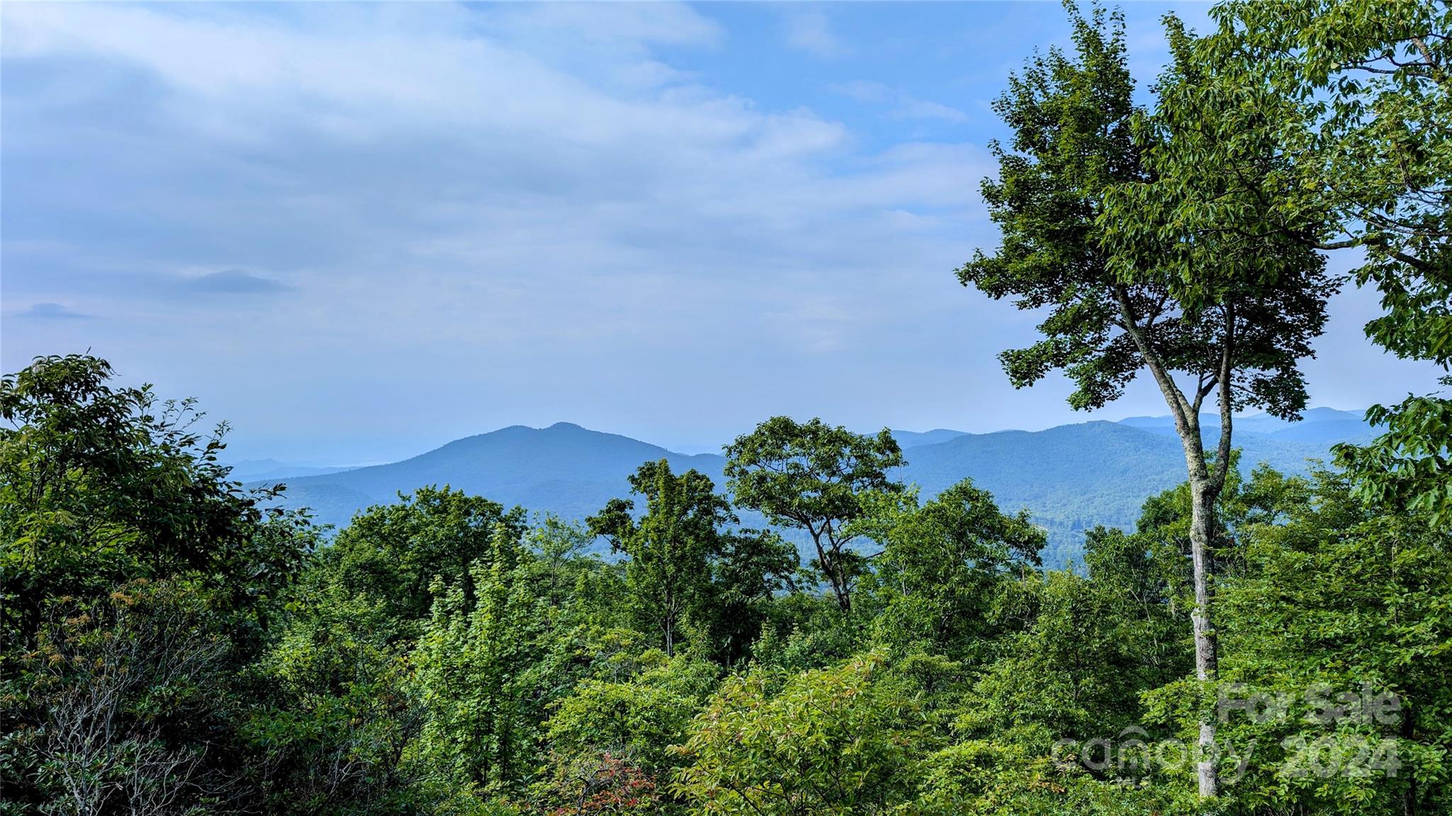 18 White Tail Drive Sapphire NC 28774