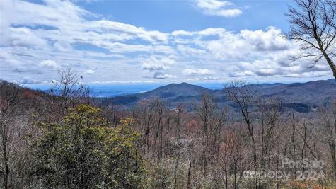 18 White Tail Drive Sapphire NC 28774