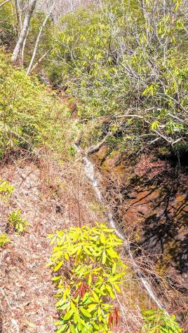 18 White Tail Drive Sapphire NC 28774